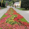 2014 - Pielgrzymka do Pragi, Kudowa, Wrocławia 19 - 22.08.2014